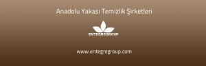 Anadolu Yakası Temizlik Şirketleri