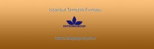 İstanbul Temizlik Firması